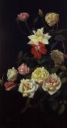 unknow artist Still life floral, all kinds of reality flowers oil painting 32 oil painting picture wholesale